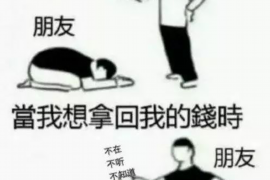 定兴债务清欠服务